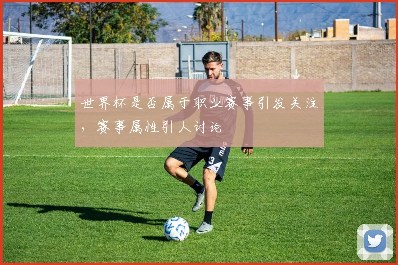 世界杯是否属于职业赛事引发关注,赛事属性引人讨论