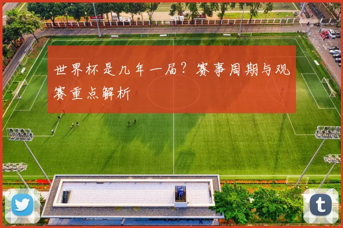 世界杯是几年一届?赛事周期与观赛重点解析