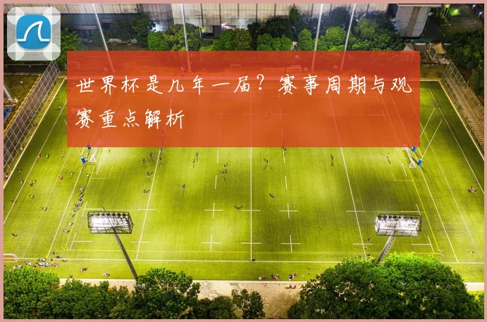 世界杯是几年一届?赛事周期与观赛重点解析