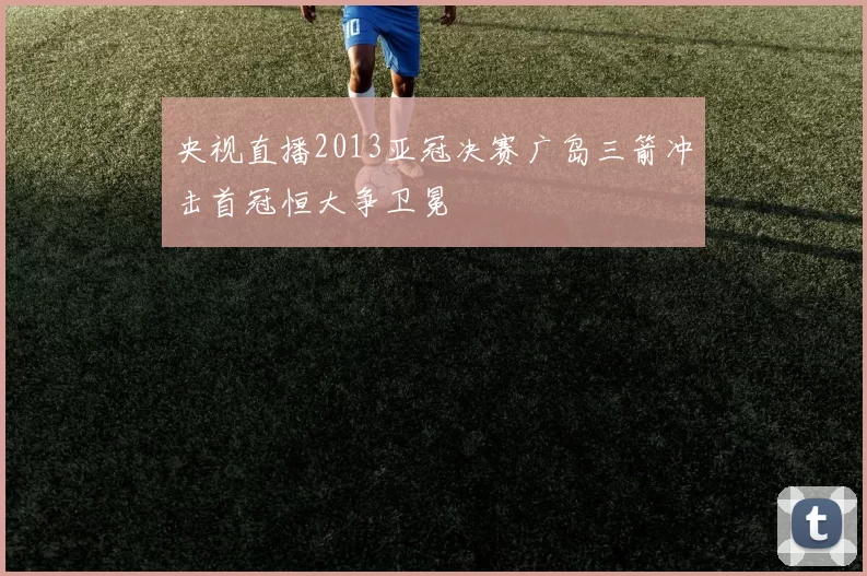 央视直播2013亚冠决赛广岛三箭冲击首冠恒大争卫冕
