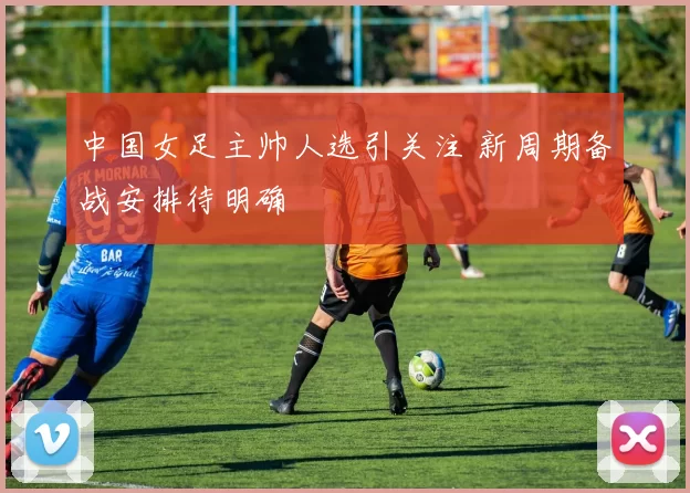 中国女足主帅人选引关注 新周期备战安排待明确